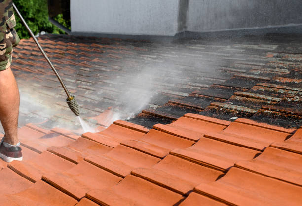 Best Commercial Building Pressure Washing  in Forestville, CA