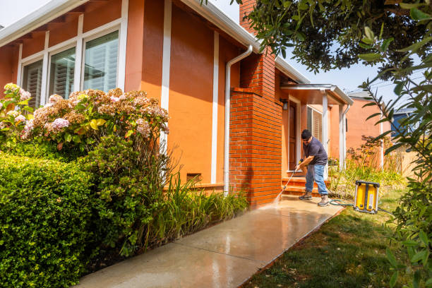 Best Roof Pressure Washing  in Forestville, CA