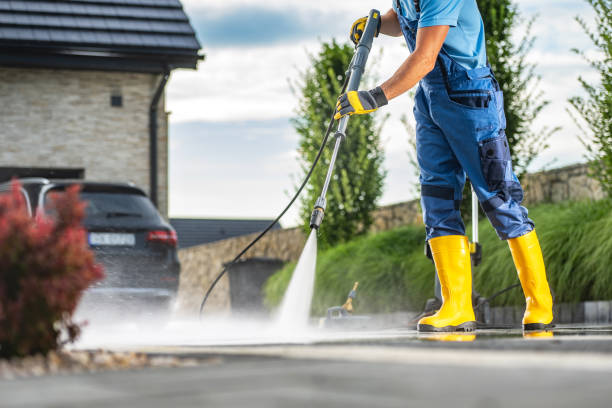 Best Exterior Home Cleaning  in Forestville, CA